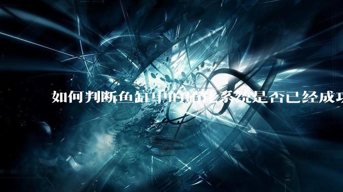 如何判断鱼缸中的硝化系统是否已经成功建立？